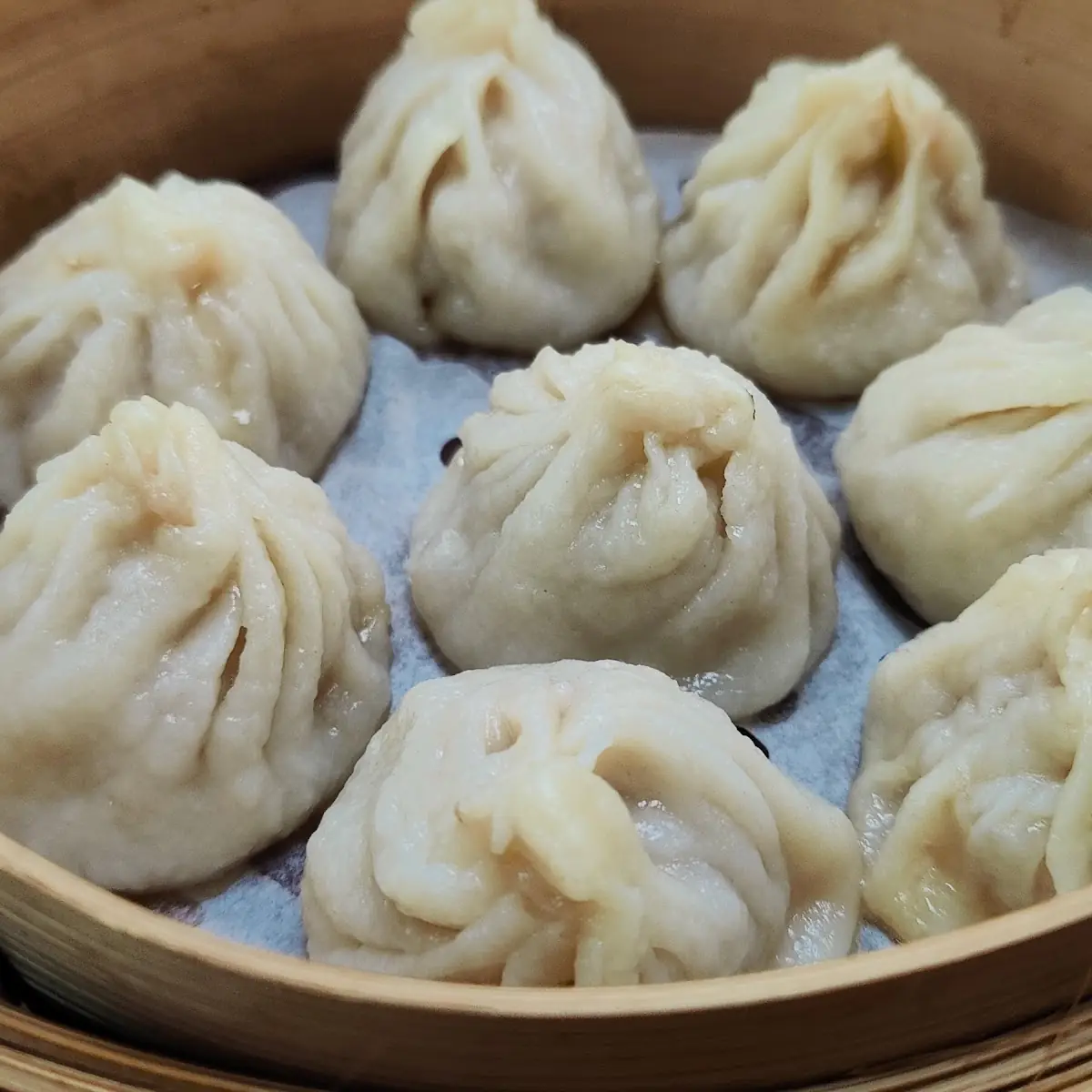 xiao long bao 8 l1 上海小笼包 8
